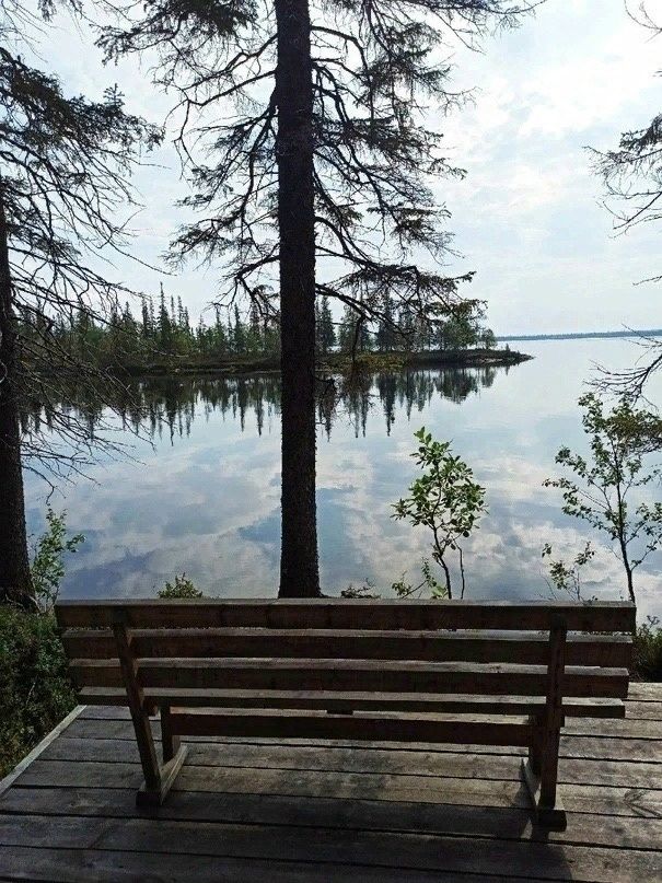 Скамейка у лесного озера в Лапландском заповеднике